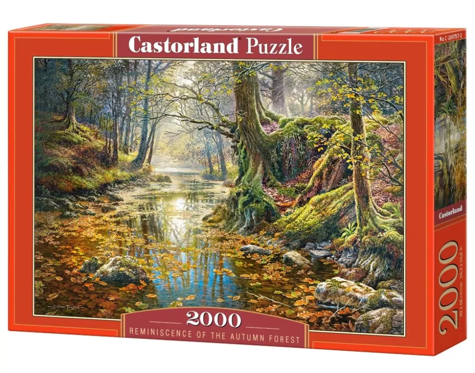 Puzzle 2000 Wspomnienie z jesiennego lasu CASTORLAND - tantis.pl