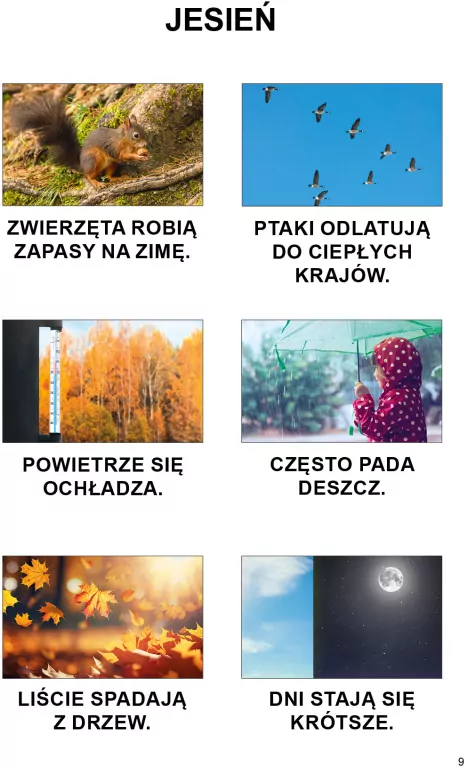 My i świat wokół nas - tantis.pl