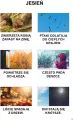 My i świat wokół nas - tantis.pl
