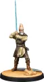 Star Wars: Shatterpoint - Mądrość Rady: Ki-Adi-Mundi - tantis.pl