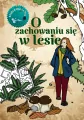 O zachowaniu się w lesie kolorowanka - tantis.pl