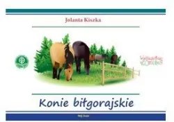 Konie biłgorajskie