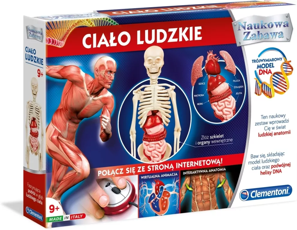 Ciało ludzkie. Naukowa zabawa. 60249 - tantis.pl