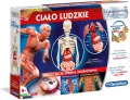Ciało ludzkie. Naukowa zabawa. 60249 - tantis.pl