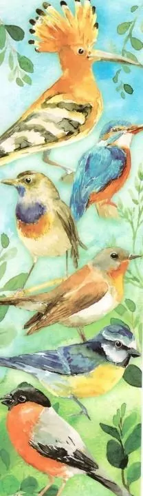 Zakładka - Ptaki - tantis.pl