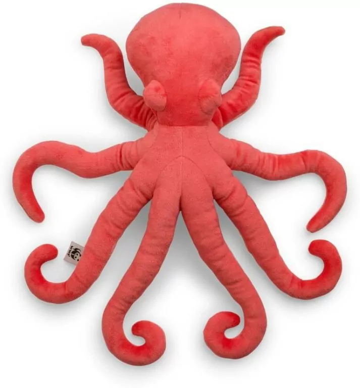 Ośmiornica - tantis.pl