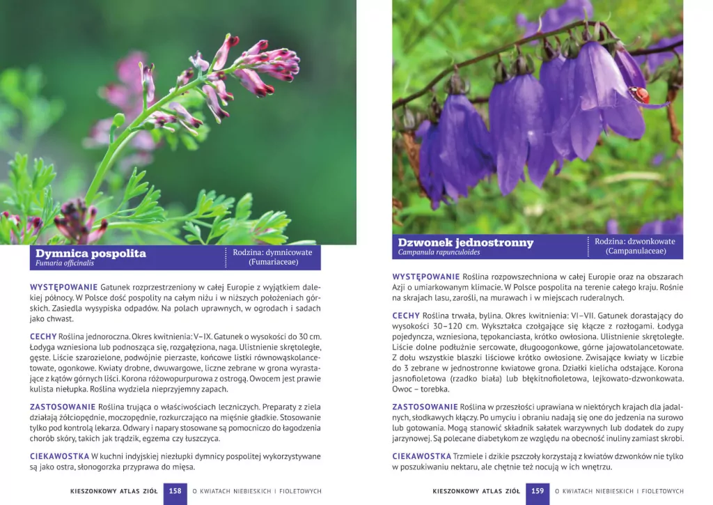 Kieszonkowy atlas ziół. 180 gatunków - tantis.pl
