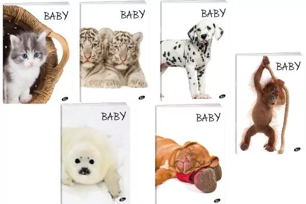 Zeszyt Baby. A5/32K linia. 20 sztuk - tantis.pl