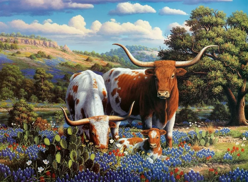 Puzzle 2D: Krowy długorogie 500el - tantis.pl