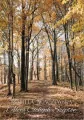 Aleja Cichych Szeptów w.3 - tantis.pl
