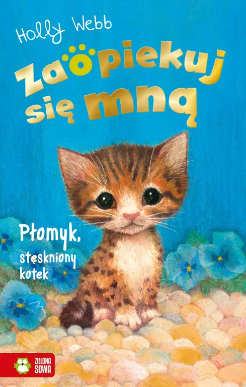 Płomyk, stęskniony kotek. Zaopiekuj się mną - tantis.pl