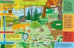 Podkładka na biurko - Warstwy lasu i łąka - tantis.pl