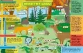 Podkładka na biurko - Warstwy lasu i łąka - tantis.pl