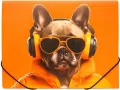 Teczka A4 PP na gumkę z nadrukiem Cool Dog - tantis.pl