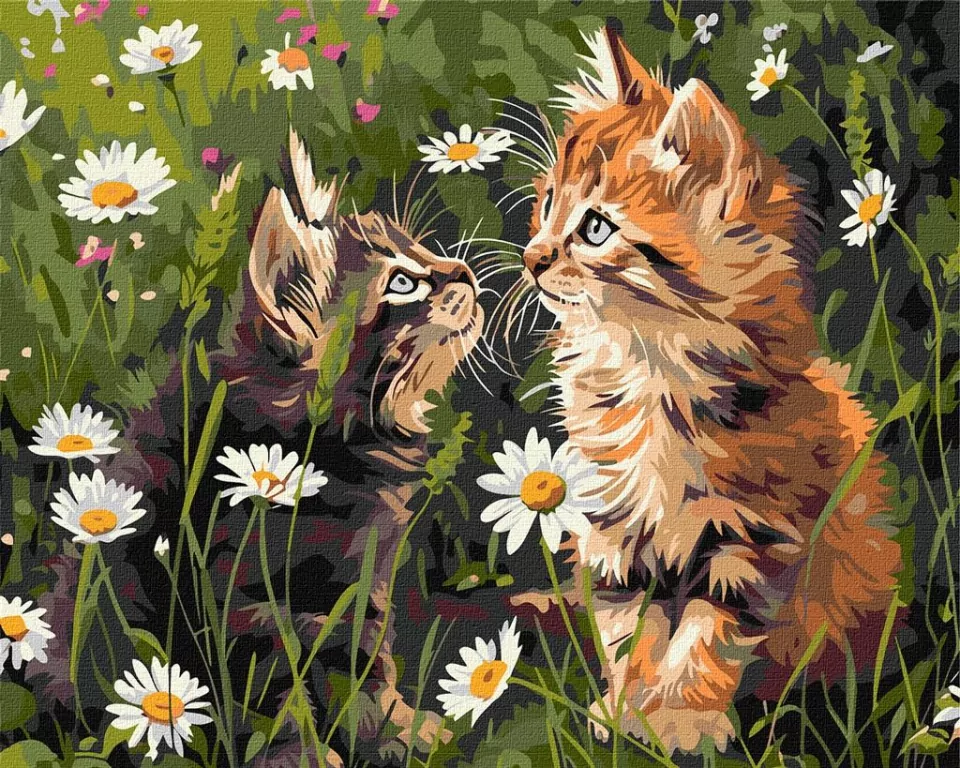 Malowanie po numerach - Koty w kwiatach 40x50cm - tantis.pl