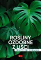 Rośliny ozdobne z liści. Poradnik praktyczny - tantis.pl