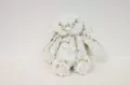 Królik Luigi beżowy 18cm - tantis.pl