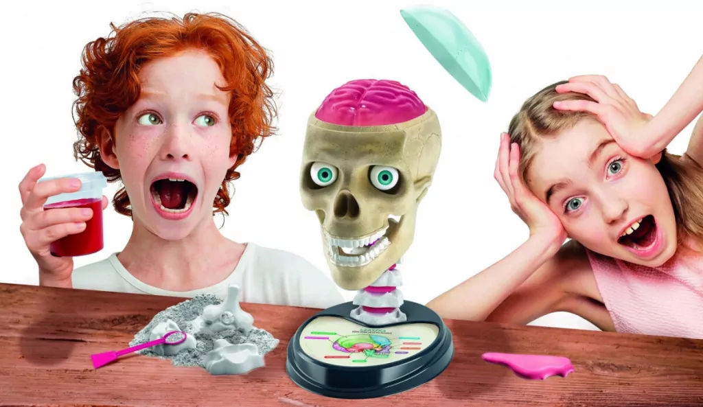 Zwariowana Anatomia. Naukowa zabawa - tantis.pl