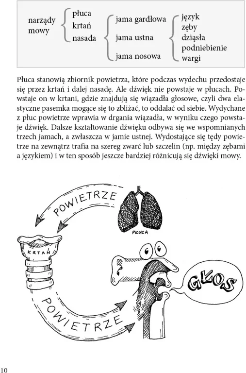 Gramatyka co z głowy nie umyka - tantis.pl