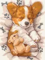 Malowanie po numerach. Śpiący corgi 30x40cm - tantis.pl