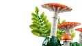 LEGO® Grzyby leśne 11505 - tantis.pl