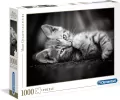 Puzzle 1000. High Quality Collection. Kitty - tantis.pl