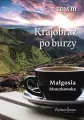 Krajobraz po burzy T.3 - tantis.pl