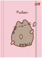 Teczka z gumką A4 Pusheen pink - tantis.pl