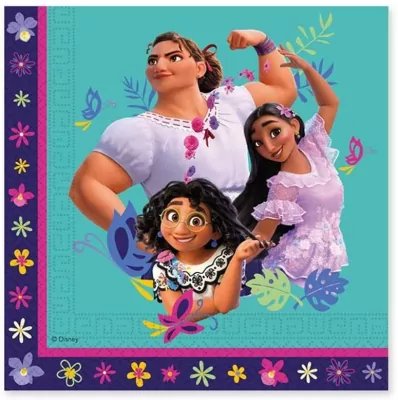 Serwetki papierowe 33x33cm. Encanto