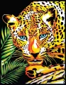 Kolorowanka welwetowa 47x35cm Leopard - tantis.pl