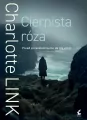 Ciernista róża - tantis.pl