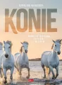 Konie - tantis.pl