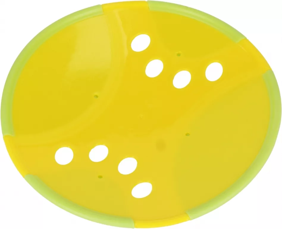 Dysk do rzucania dla Psa 23cm - tantis.pl