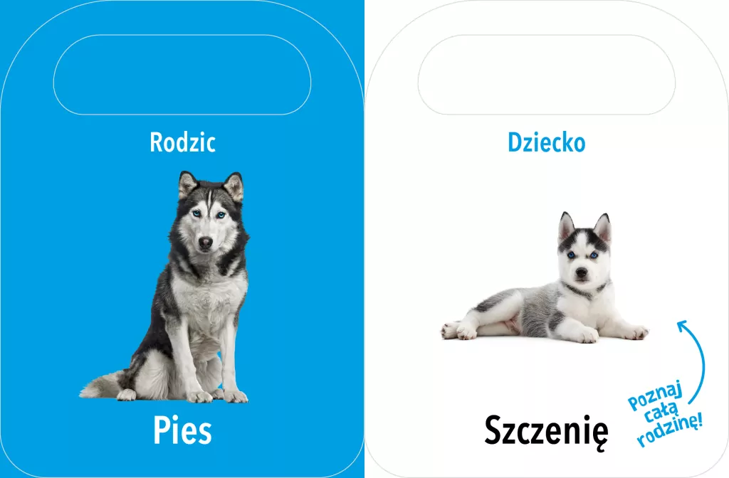 Otwórz i zobacz! Rodzice i dzieci - tantis.pl