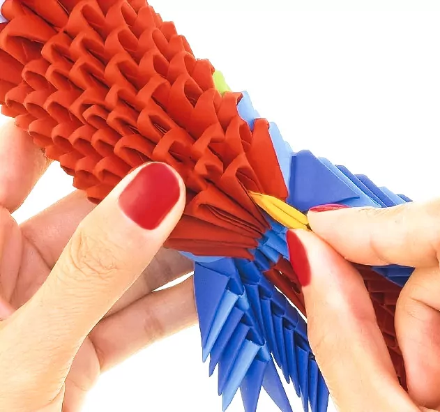 Origami 3D papuga/parrot - tantis.pl