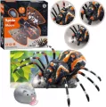 Tarantula RC czarna - tantis.pl