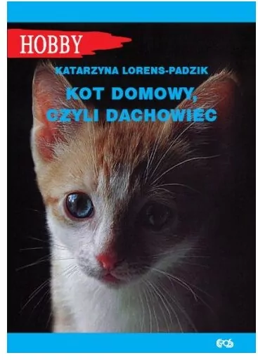 Kot domowy czyli dachowiec - tantis.pl