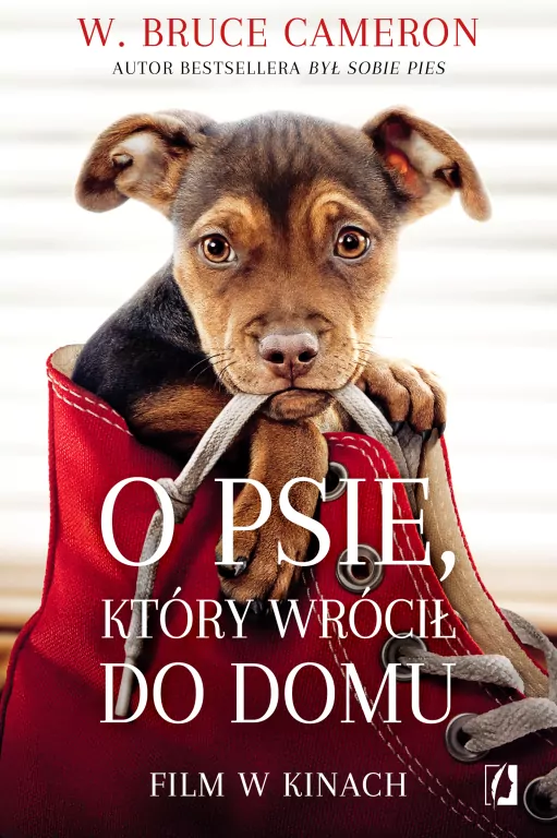 O psie, który wrócił do domu - tantis.pl