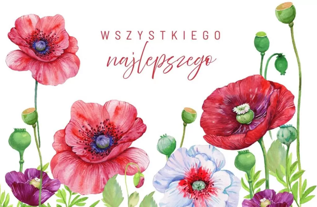 Karnet - Wszystkiego najlepszego - tantis.pl