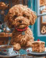 Malowanie po numerach. Maltipoo w kawiarni - tantis.pl