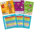 BrainBox - Nauka - tantis.pl