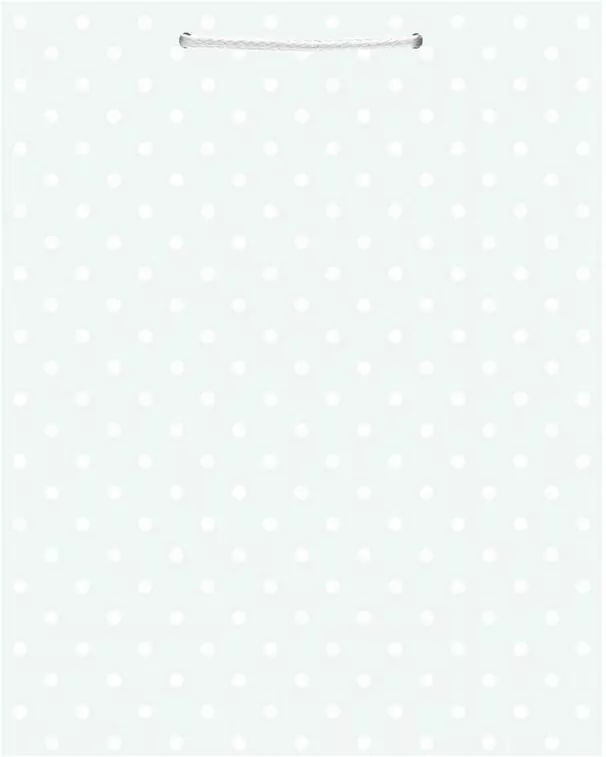 Torba prezentowa Party 17,9x22,5x10cm STRIGO - tantis.pl