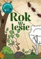 Rok w lesie. Kolorowanka - tantis.pl