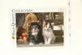 Puzzle 1000. High Quality Collection. Słodkie kotki - tantis.pl