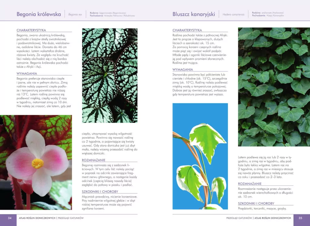 Atlas roślin doniczkowych. 200 gatunków ozdobnych - tantis.pl