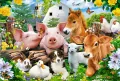 Puzzle 40 maxi - Farm Friends - tantis.pl