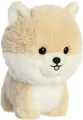 Maskotka Pomeranian - tantis.pl