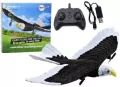 Orzeł R/C 2.4G - tantis.pl