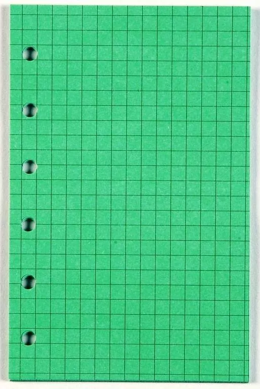 Wkład do organizera ST/kratka zielona ANTRA - tantis.pl