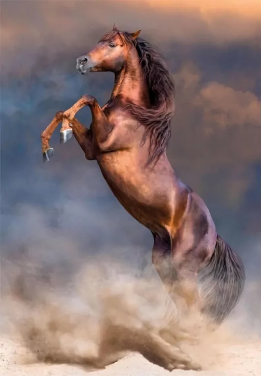 Puzzle 500 HQ Wild Red Stallion - tantis.pl